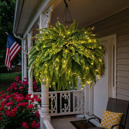 Glowing Boston Ferns with Lights -Zero Watering, Zero Maintenance-Haily