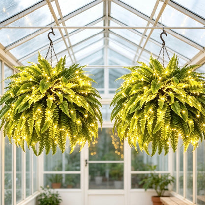 Glowing Boston Ferns with Lights -Zero Watering, Zero Maintenance-Haily