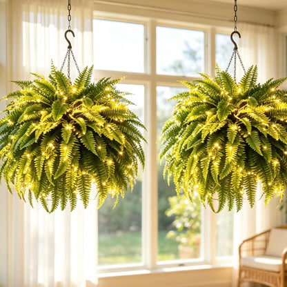 Glowing Boston Ferns with Lights -Zero Watering, Zero Maintenance-Haily