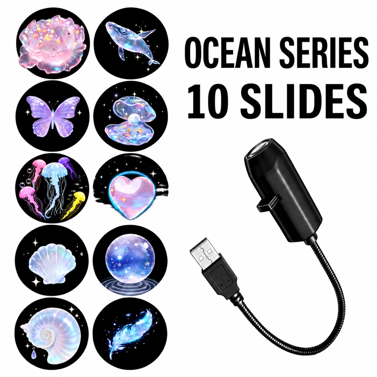 10-Ocean